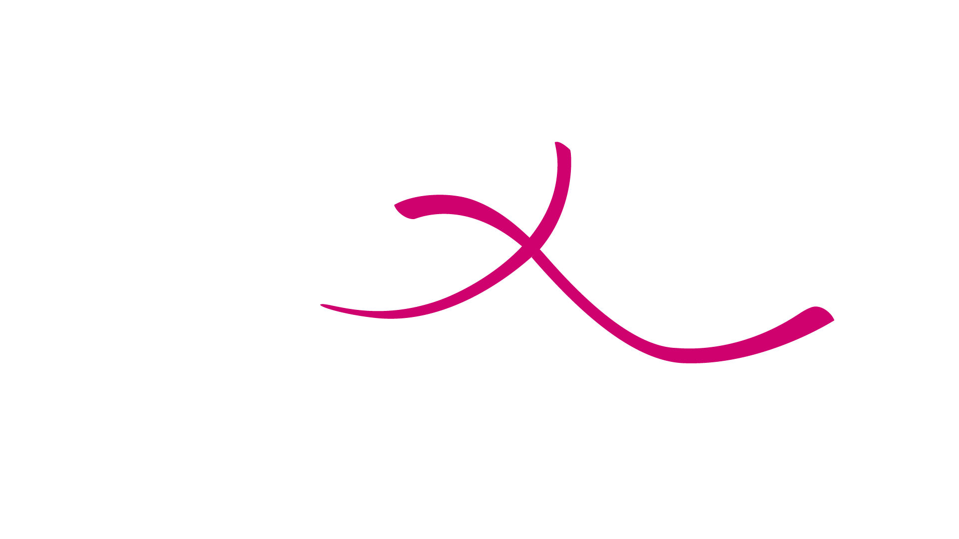 logo perfexion